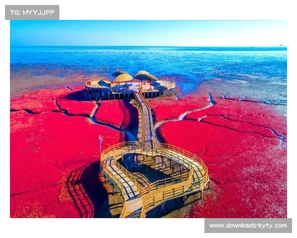 盘锦市政府计划扩建红海滩场馆争取举办世界沙滩手球赛推动体育旅游发展 盘锦市政府计划扩建红海滩场馆争取举办世界沙滩手球赛推动体育旅游发展