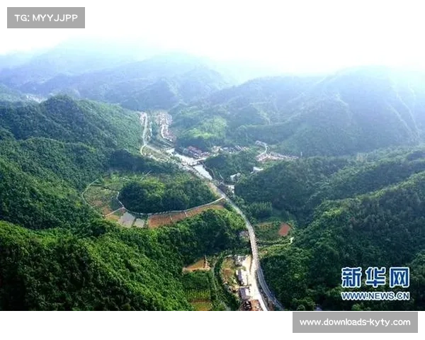 围棋赛事联动地方经济，茂名站预计带动旅游消费